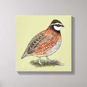 Bobwhite Quail Tupp Canvastryck