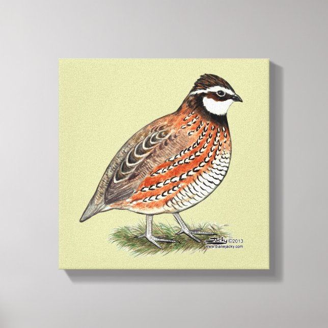 Bobwhite Quail Tupp Canvastryck (Framsida)