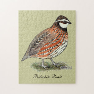 Bobwhite Quail Tupp Pussel