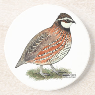 Bobwhite Quail Tupp Underlägg Sandsten