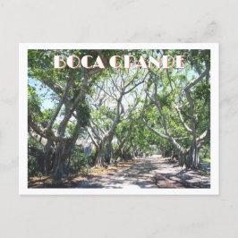Boca Grande, Gasparilla Island, Florida Banyans Vykort