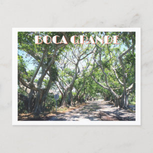 Boca Grande, Gasparilla Island, Florida Banyans Vykort