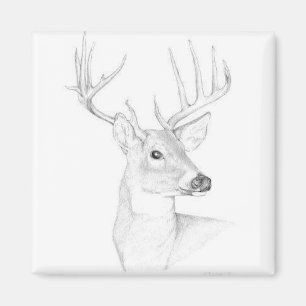 Bock Magnet