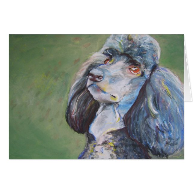 Bock standard pudel OBS kort (Framsidan Horizontal)