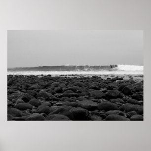 BOCKAR SAN ONOFRE PÅSTÅR STRANDEN, CA, USA POSTER