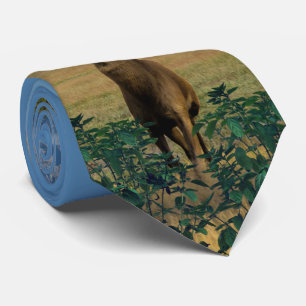 Bockhjort betar slips