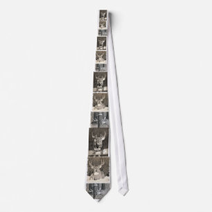 bocktie slips