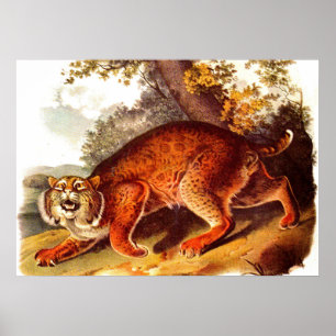 Bocktryck från 1800-talet poster