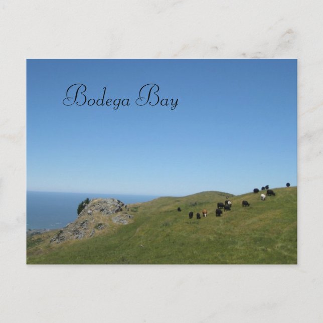 Bodega Bay, Ca Vykort (Framsida)