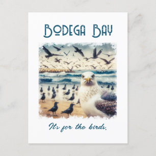 Bodega Bay California Souvenir Gift Vykort