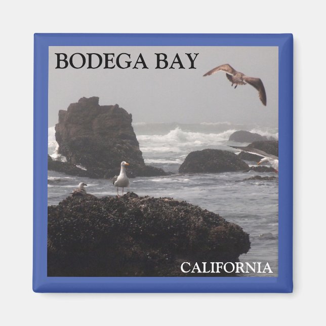 Bodega Bay Magnet (Framsidan)
