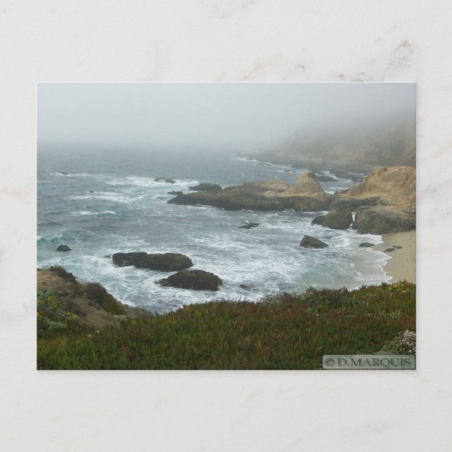 BODEGA BAY POSTCARD #1 VYKORT (Framsida)