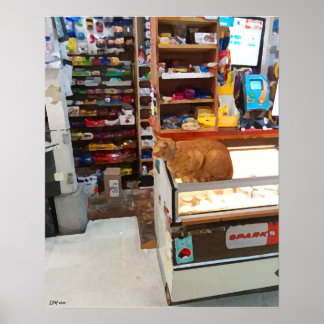 Bodega Cat Poster