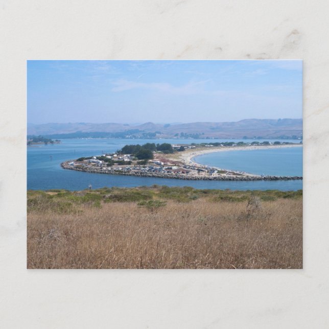 Bodega Harbour och Doran Park Vykort (Framsida)