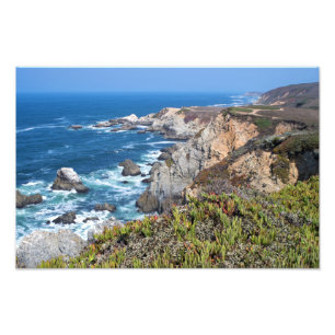 Bodega Head Ruged Kusten och Trail Fototryck