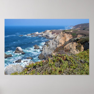 Bodega Head Ruged Kusten och Trail Poster