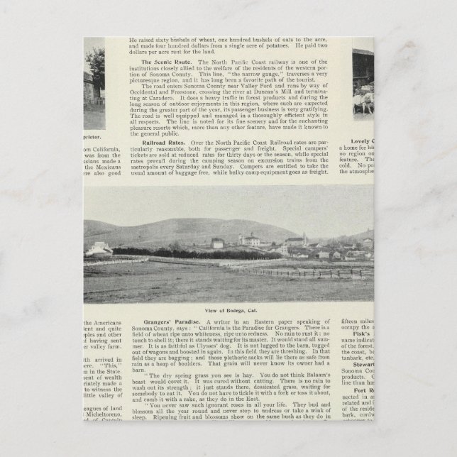 Bodega, Kalifornien Vykort (Framsida)