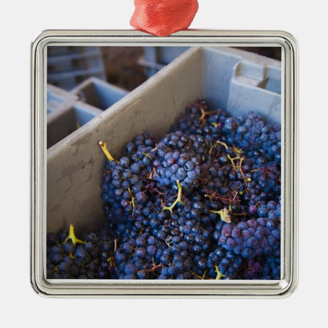 Bodega Marques de Riscal vinfabrik, vindruvor Julgransprydnad Metall (Framsidan)