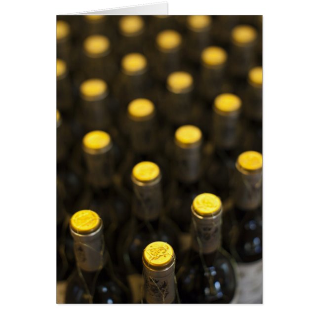 Bodega Marques de Riscal vinfabrik, vinflaskor Hälsningskort (Framsidan)