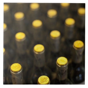 Bodega Marques de Riscal vinfabrik, vinflaskor Kakelplatta