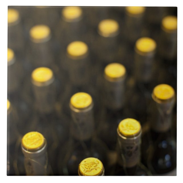 Bodega Marques de Riscal vinfabrik, vinflaskor Kakelplatta (Framsidan)