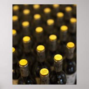 Bodega Marques de Riscal vinfabrik, vinflaskor Poster