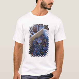 Bodega Marques de Riscal vingård, druvor T Shirt