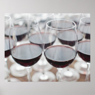 Bodega Marques de Riscal vingård, vinsmakning Poster