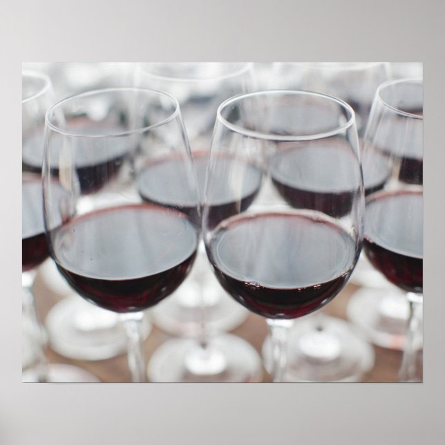 Bodega Marques de Riscal vingård, vinsmakning Poster (Framsidan)