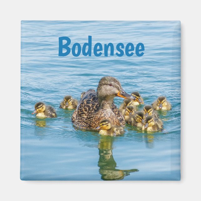 Bodensee-ankor med ankungar magnet (Framsidan)