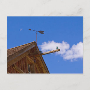 Bodie Ghost Town Point the way Postcard Vykort