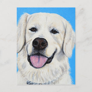 Bodie - Golden Retriever Vykort