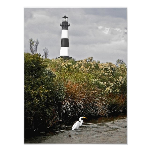 Bodie Island fyr med Egret Fototryck (Framsidan)