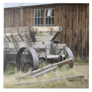 Bodie State Historic Park, CA Kakelplatta