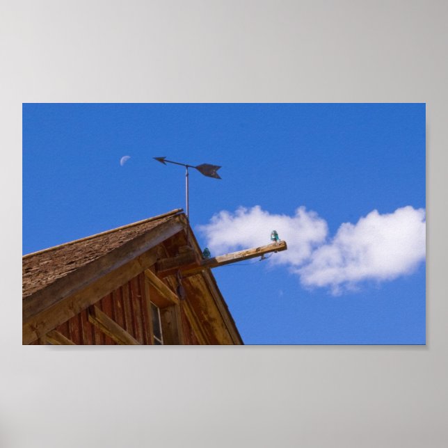 Bodie Weather Vane och Måne Färg Poster (Framsidan)