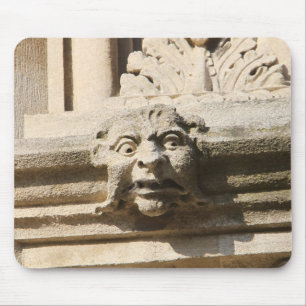 Bodleian bibliotek musmatta