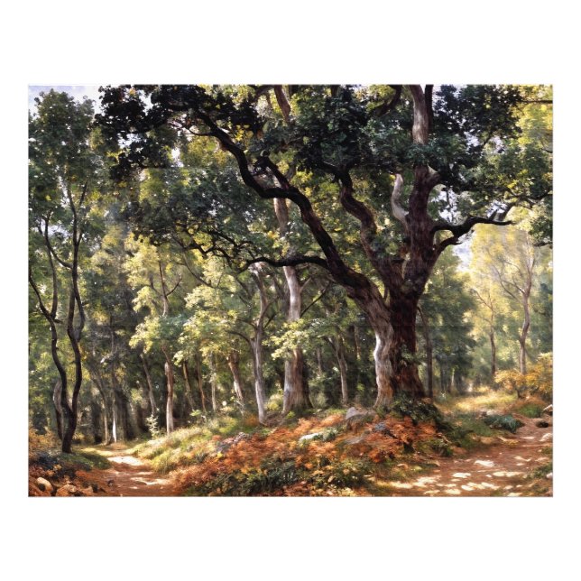 Bodmer Oak Fototryck (Framsidan)