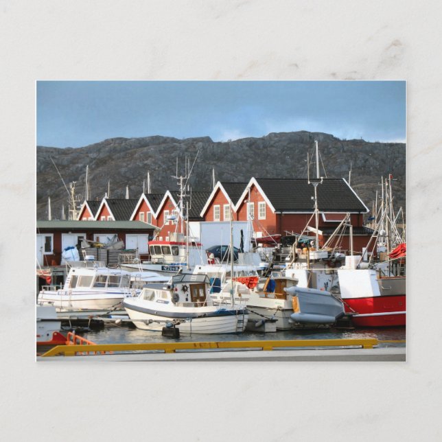 Bodo, hamn vykort (Framsida)