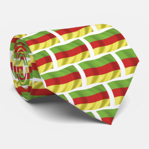 Bodos Folk Flagga Band Slips
