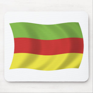 Bodos Folk Flagga Musmatta