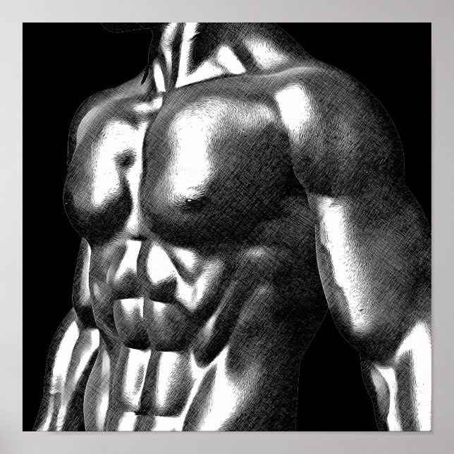 Body Builder Mans Torso Teckning Poster (Framsidan)
