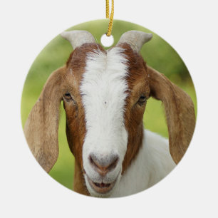 Boer Goat Nanny Kid Julgransprydnad Keramik