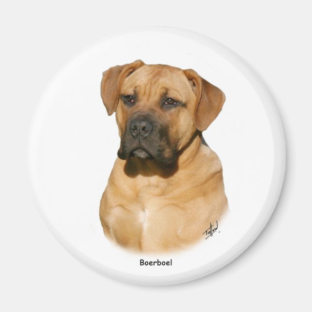 Boerboel 9Y121D-294 Magnet (Framsidan)