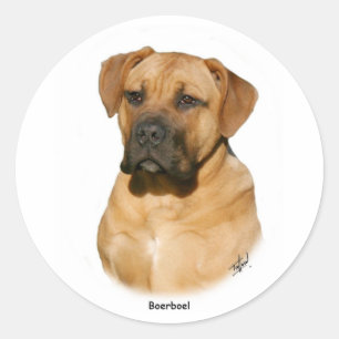 Boerboel 9Y121D-294 Runt Klistermärke
