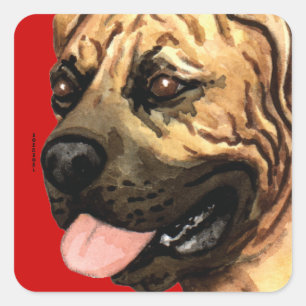 Boerboel Färg Block Fyrkantigt Klistermärke