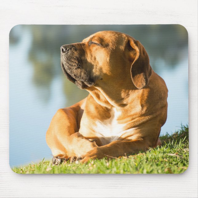 Boerboel Gel Mouse Pad Musmatta (Framsidan)
