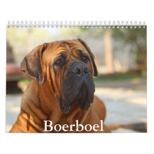 Boerboel hund Calendar Kalender