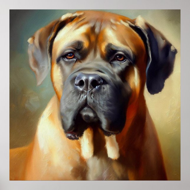 Boerboel Hund Poster (Framsidan)