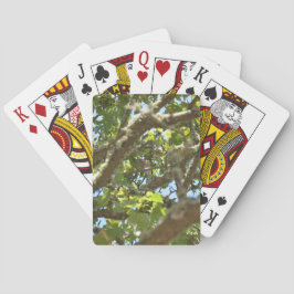 Bofink Casinokort