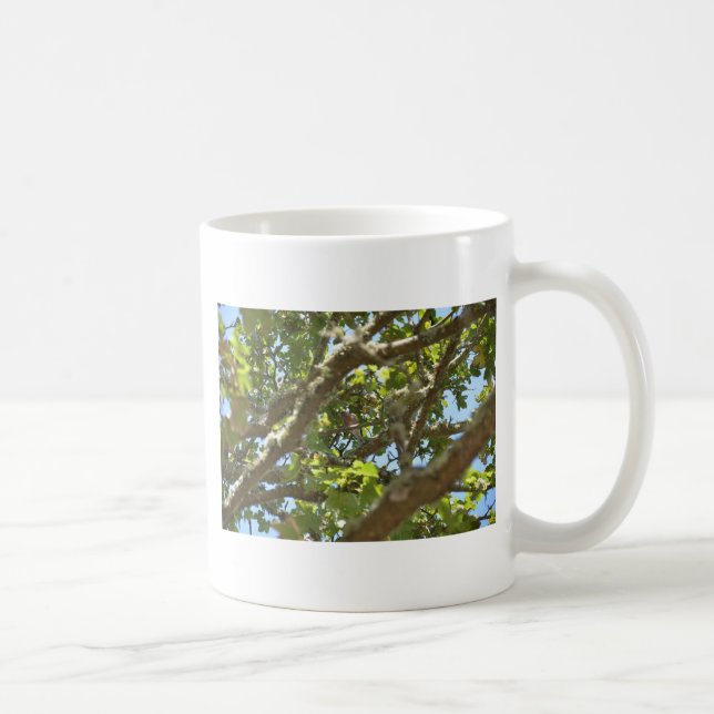 Bofink Kaffemugg (Höger)